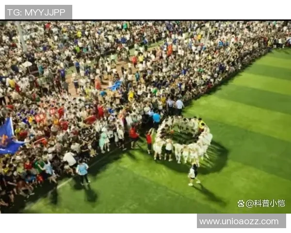 足球明星的家乡与生活地探秘揭示他们背后的故事与文化