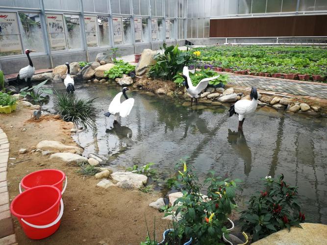 羊顺农庄·鹤舞堂科技 休闲时光里的自然与科技交响